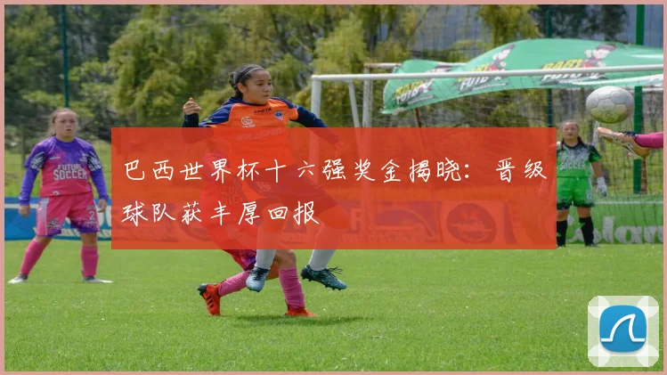 巴西世界杯十六强奖金揭晓：晋级球队获丰厚回报
