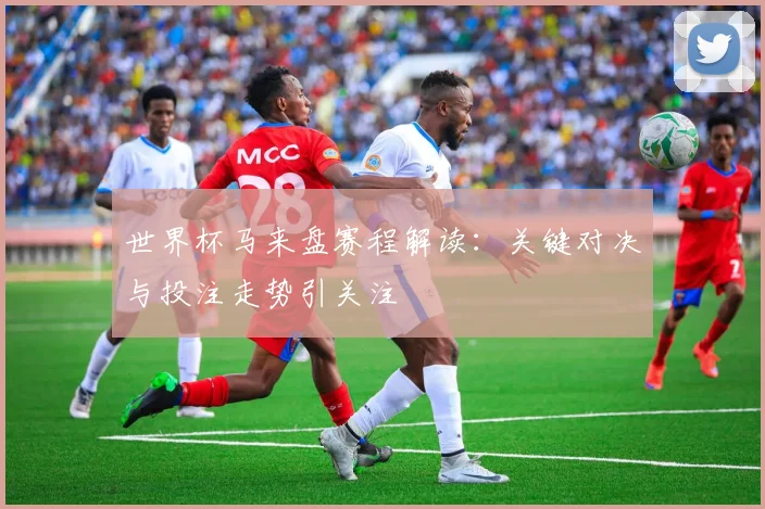 世界杯马来盘赛程解读：关键对决与投注走势引关注